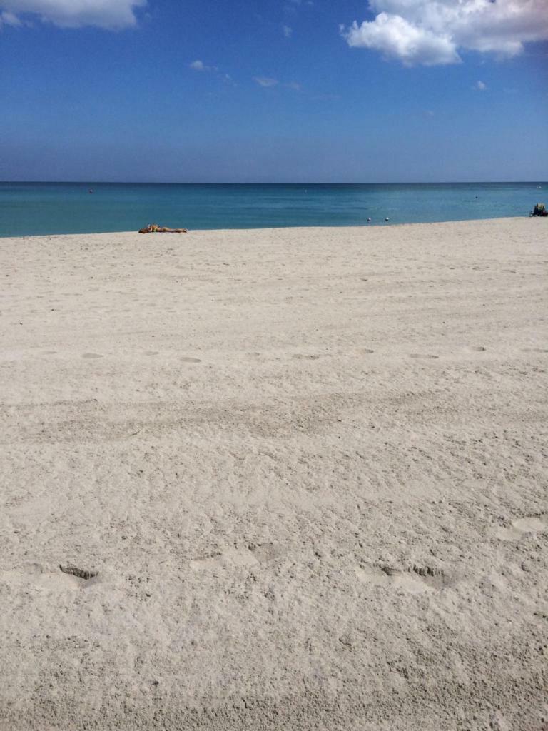 Hollywood Apartment By The Sea Ngoại thất bức ảnh
